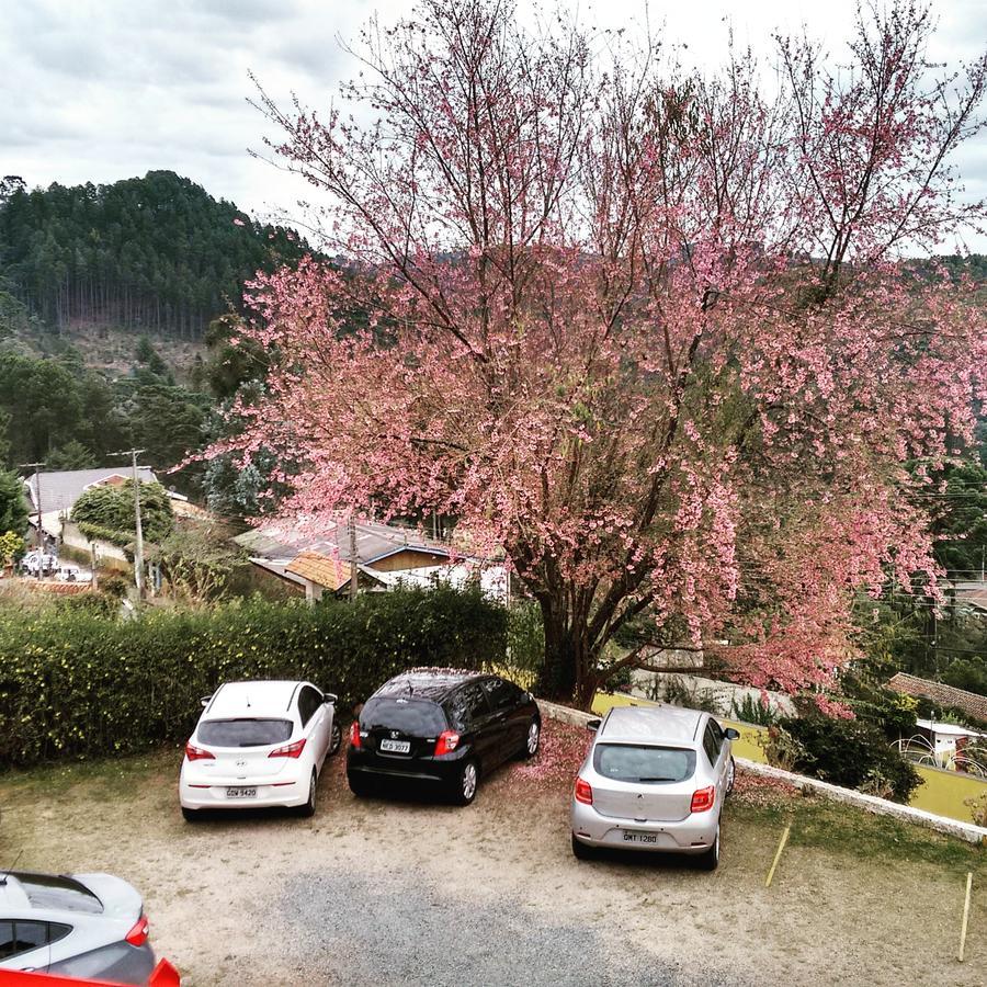 Alpenrose